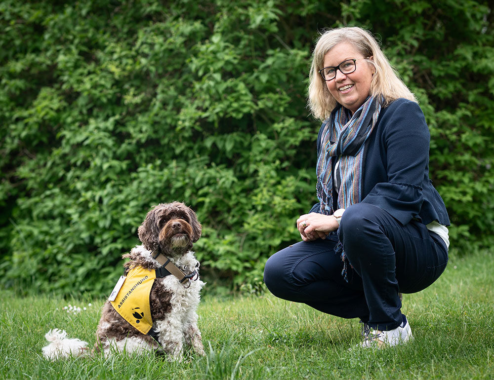 Brun-vit hund med assistanstäcke/diabeteshund. Kvinna på huk bredvid i blå byxor och blå kavaj samt blårandig sjal