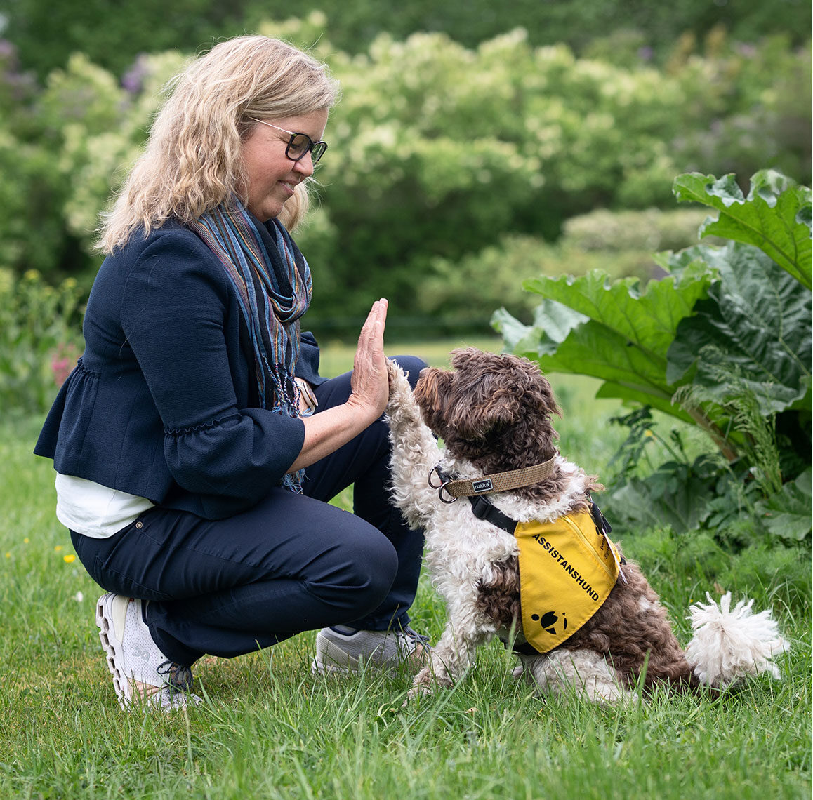 Kvinna i blå kavaj, blå byxor, blårandig sjal och glasögon gör "high five" med brun-vit hund som har en assistansväst på sig
